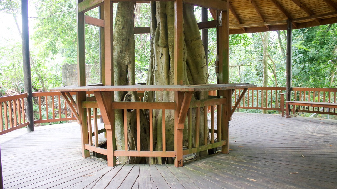 Photo of Patio Balcony in St. Ann's Bay