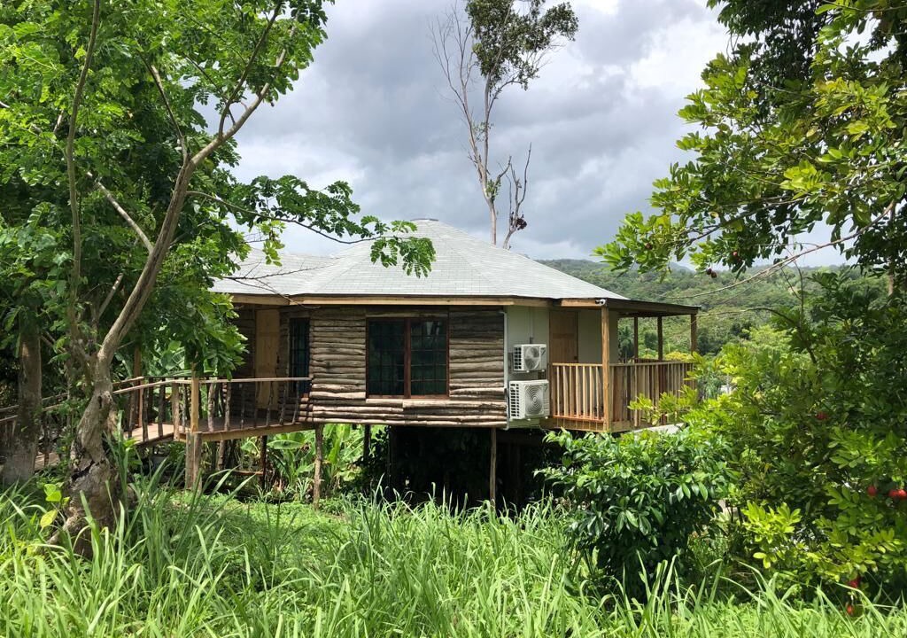 Photo of Outdoor in St. Ann's Bay