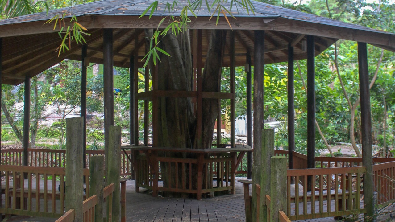 Photo of Patio Balcony in St. Ann's Bay