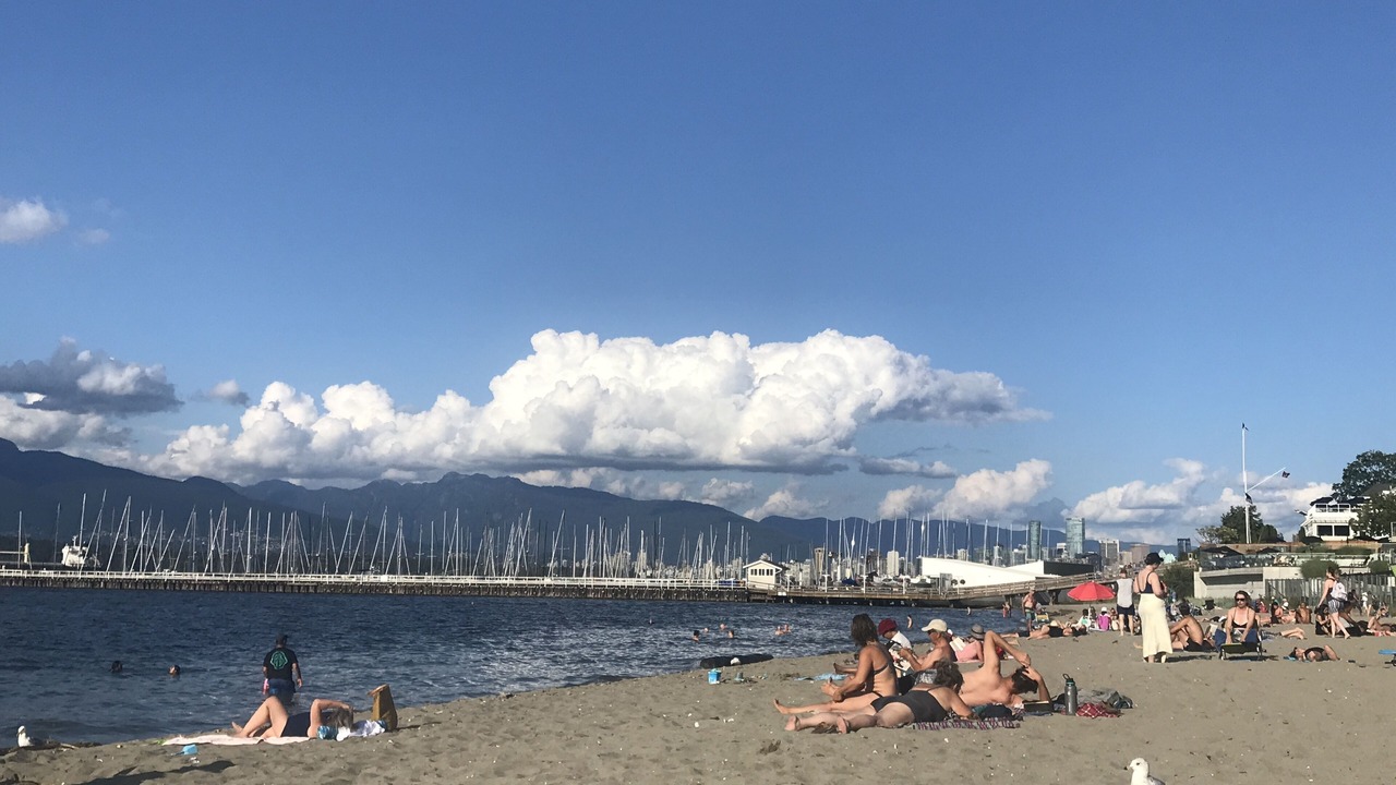 Photo of Others in Kitsilano