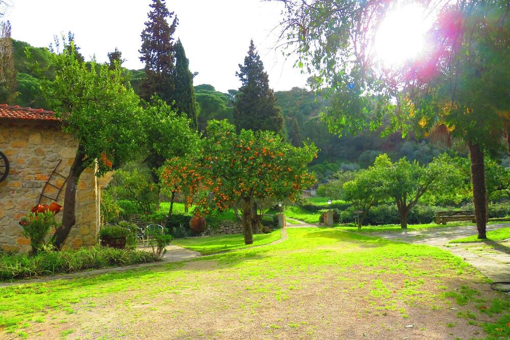 Photo of Outdoor in Sao Joao Batista