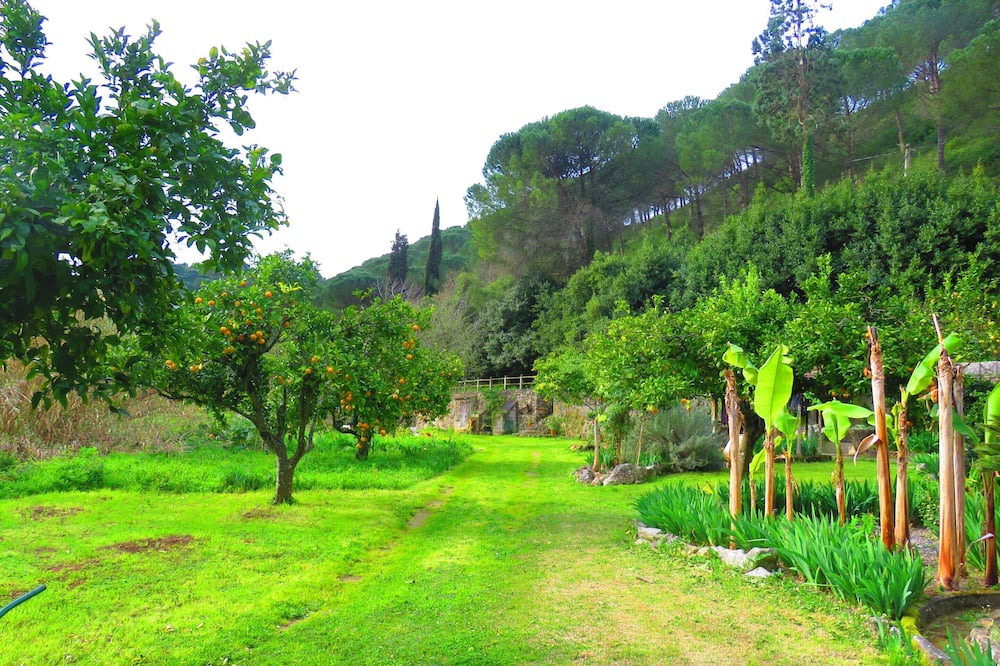 Photo of Outdoor in Sao Joao Batista