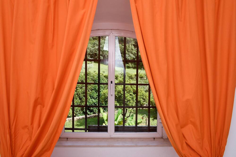Photo of Outdoor in Sao Joao Batista