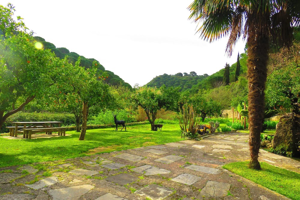 Photo of Outdoor in Sao Joao Batista