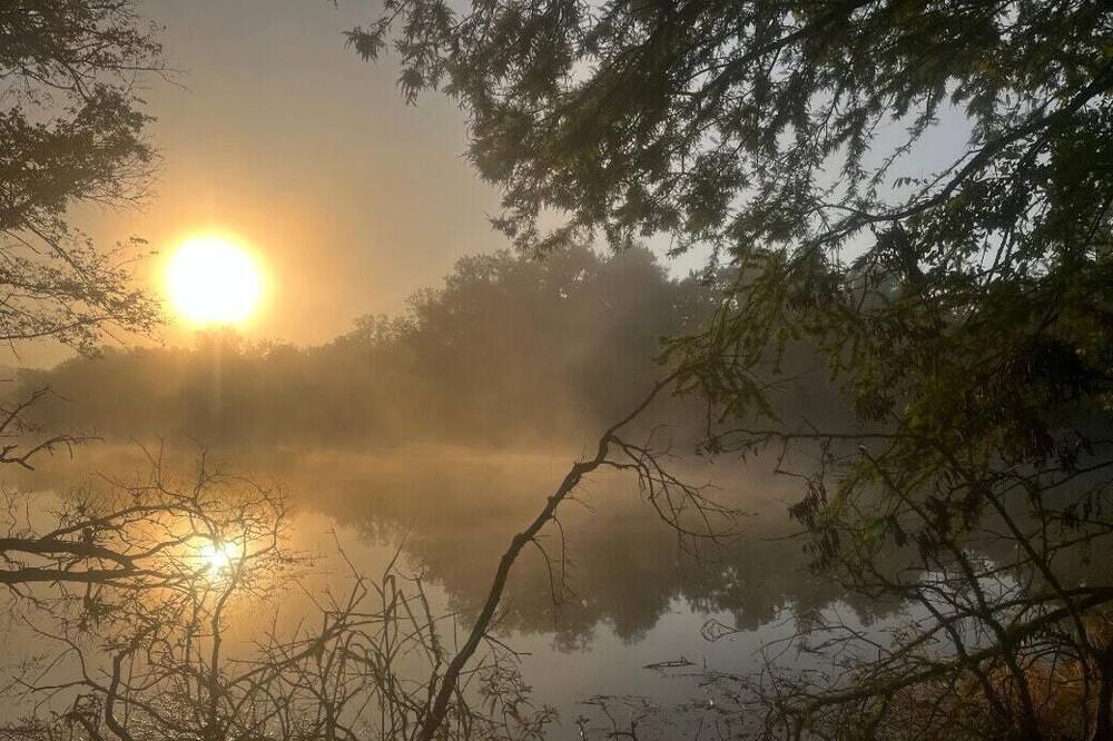 Photo of Outdoor in Iberia Parish