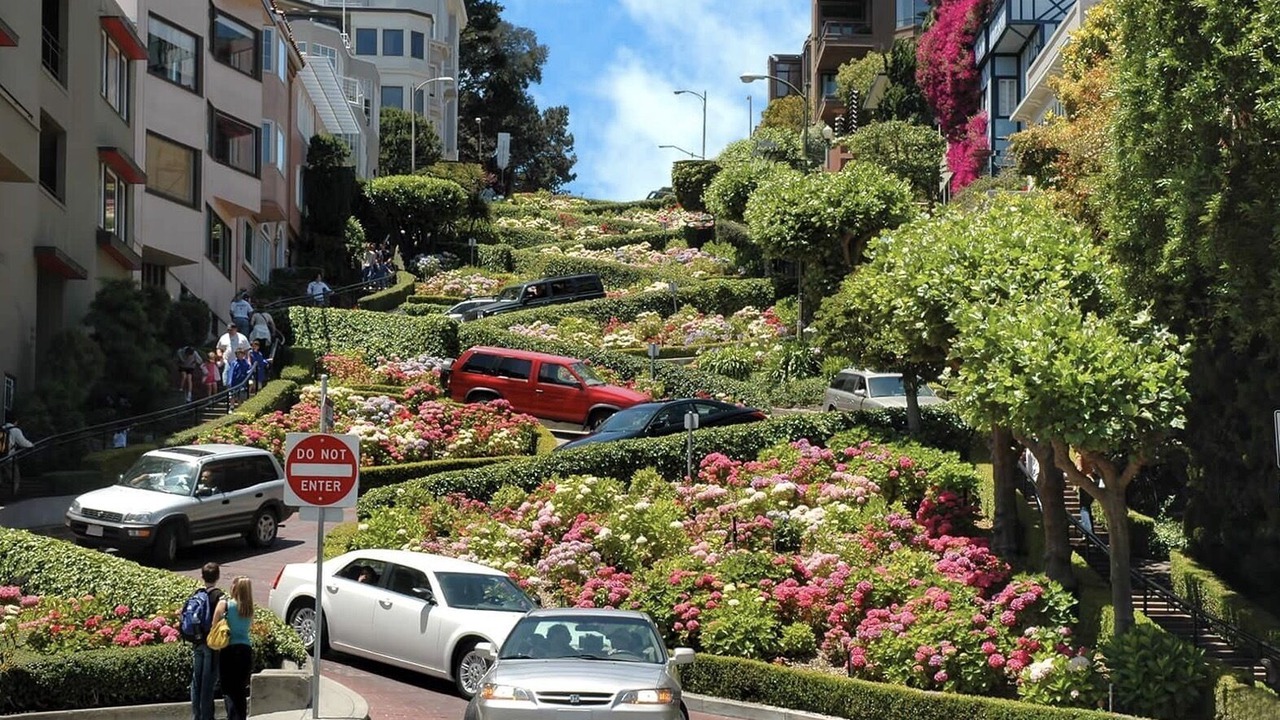 Photo of Outdoor in Cow Hollow