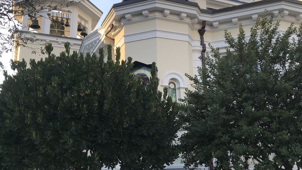 Photo of Outdoor in Cow Hollow