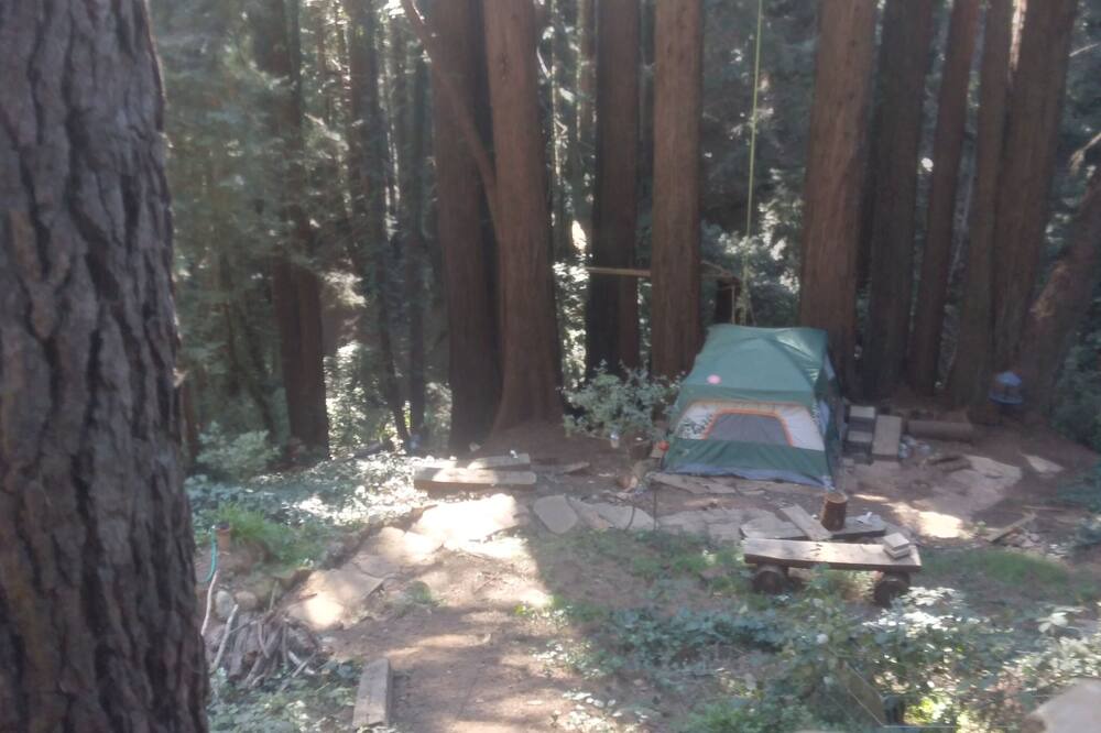 Photo of Outdoor in Redwood City