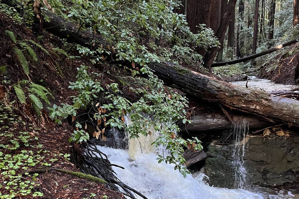 Photo of Outdoor in Redwood City