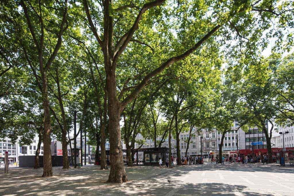 Photo of Outdoor in Old Town