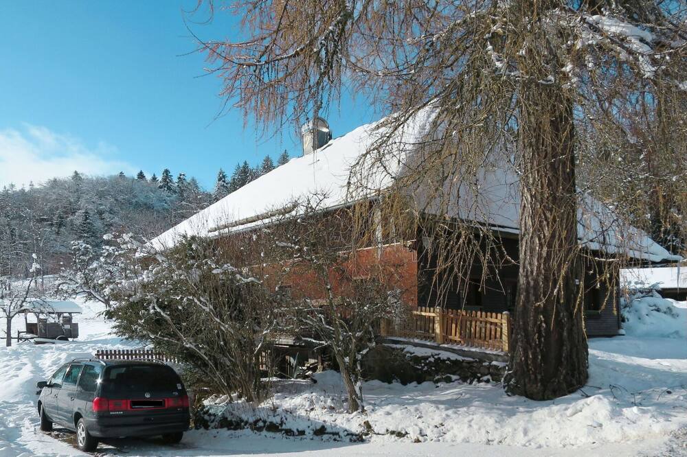 Photo of Others in Hinterzarten