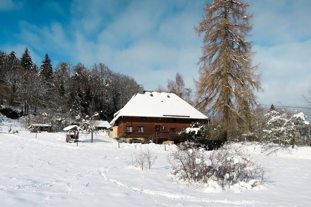 Photo of Others in Hinterzarten