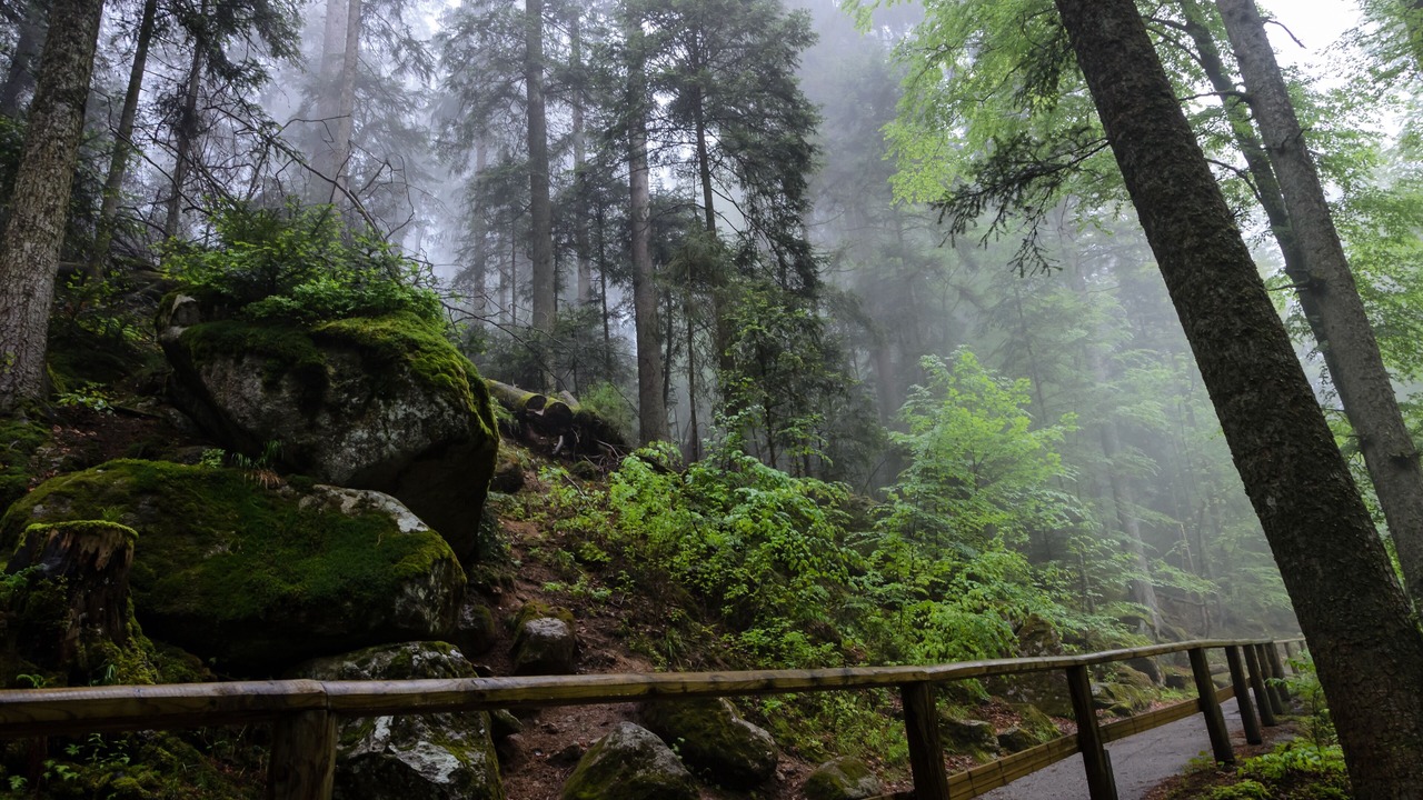 Photo of Outdoor in Schonach im Schwarzwald