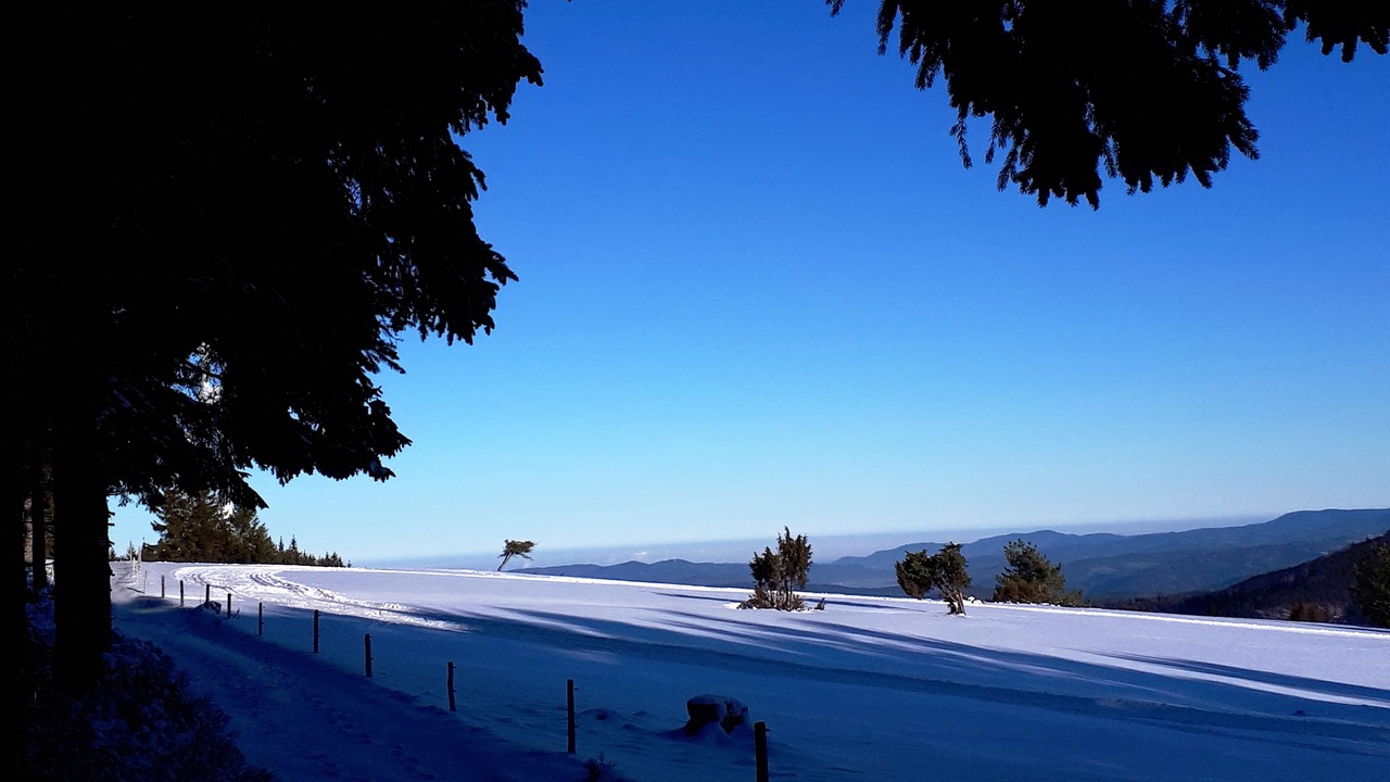 Photo of Others in Schonach im Schwarzwald