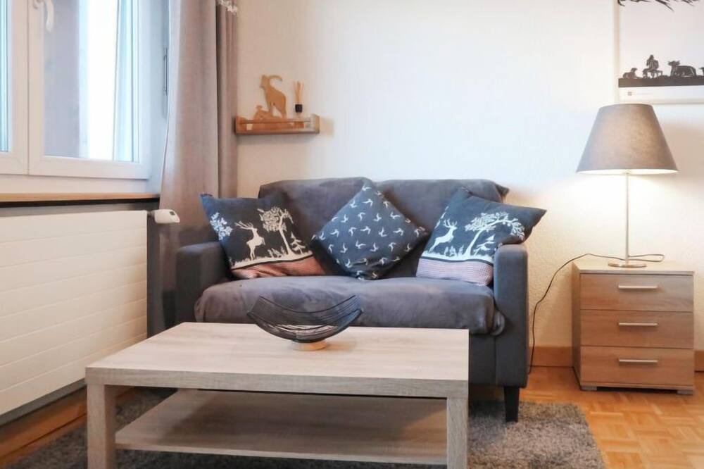 Photo of Livingroom in Saint-Pierre-de-Clages