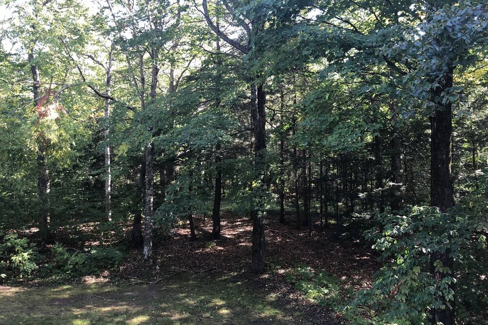 Photo of Outdoor in Stratton Mountain