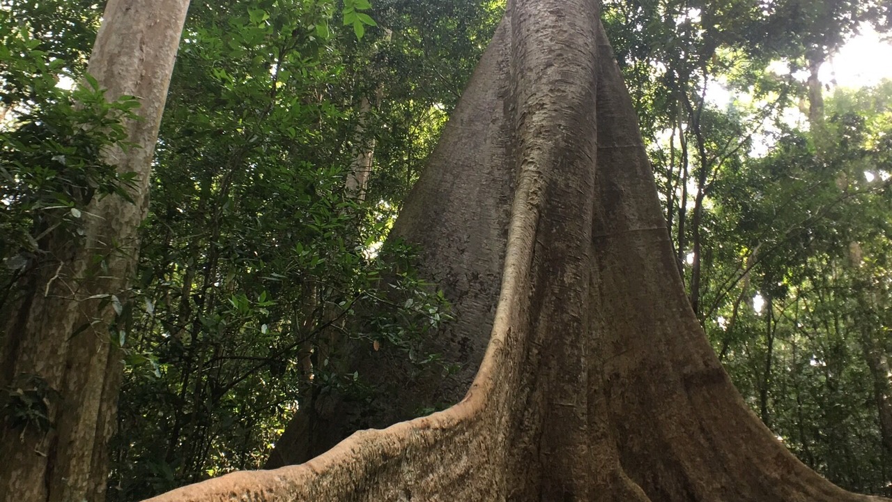 Photo of Others in Quan Tom