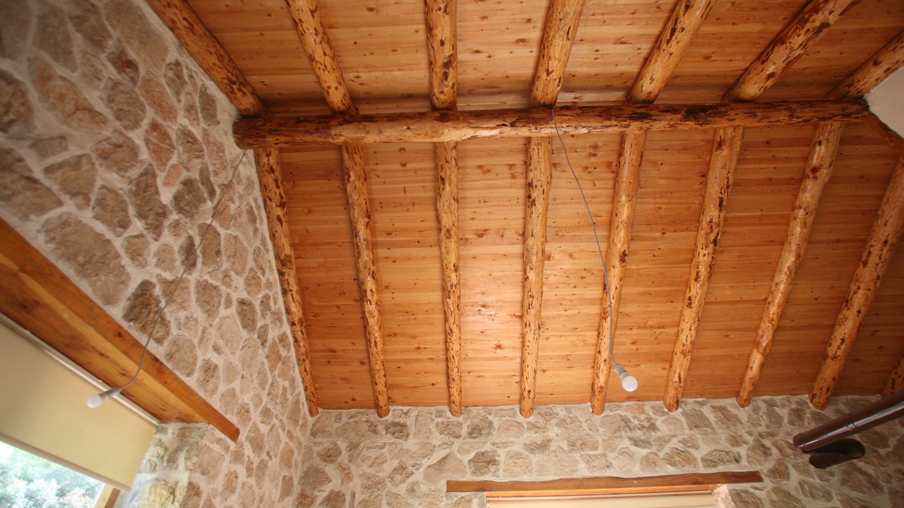 Photo of Others in Kumluca