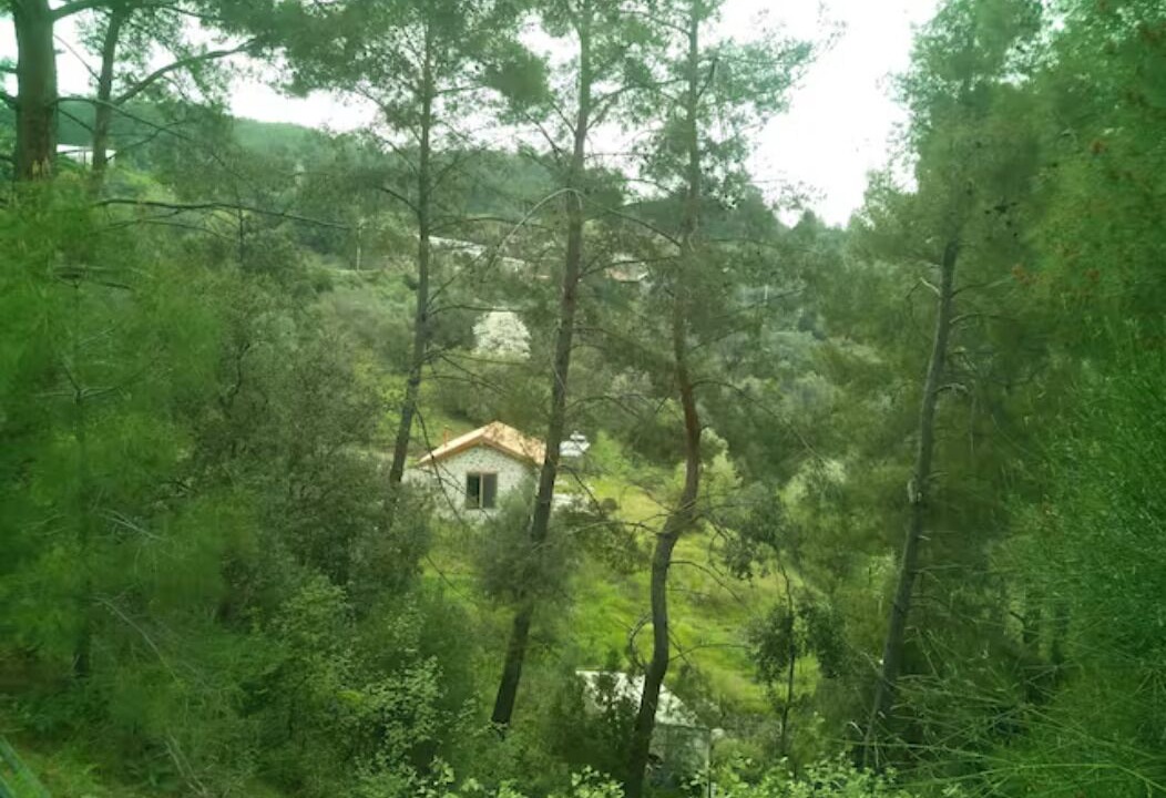 Photo of Others in Kumluca