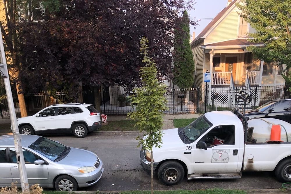 Photo of Outdoor in Logan Square