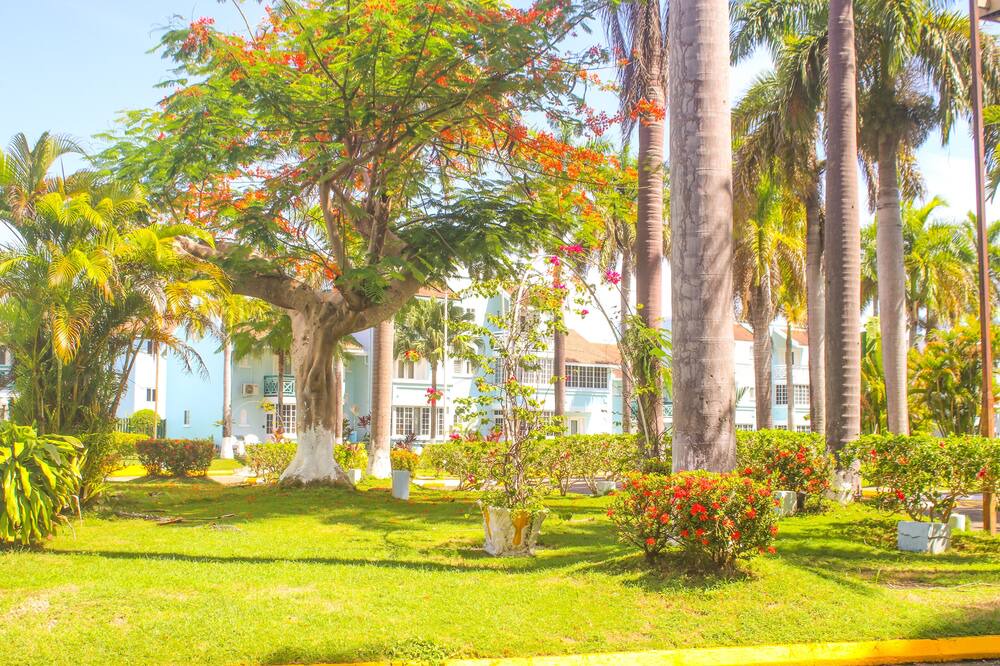 Photo of Outdoor in Orange Bay