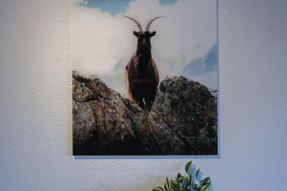 Photo of Others in Saint-Pierre-de-Clages