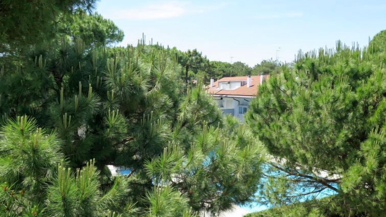 Photo of Others in Lignano Pineta