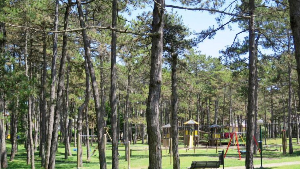 Photo of Outdoor in Lignano Pineta