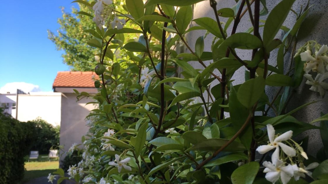 Photo of Outdoor in Yverdon-les-Bains