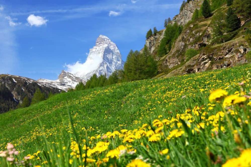 Photo of Outdoor in Zermatt