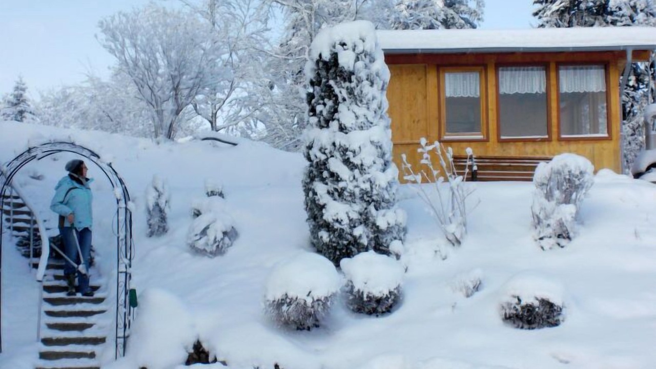Photo of Outdoor in Hinterzarten