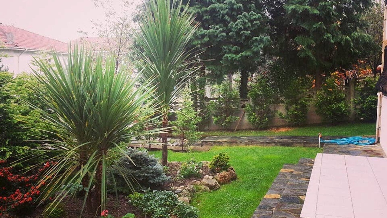 Photo of Outdoor in Masukiye