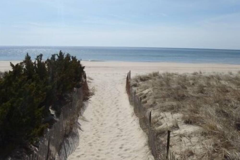 Photo of Others in Beach Hampton