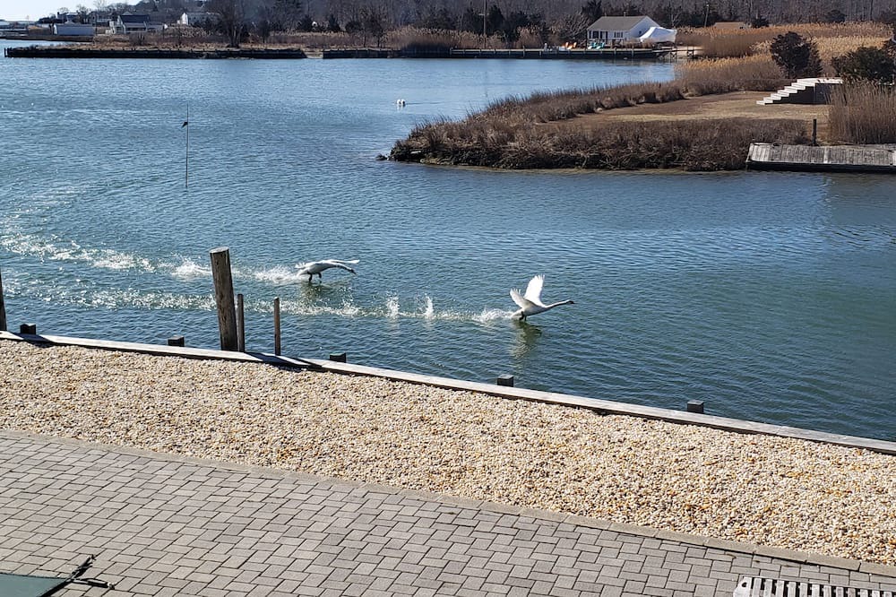 Photo of Others in Hampton Bays