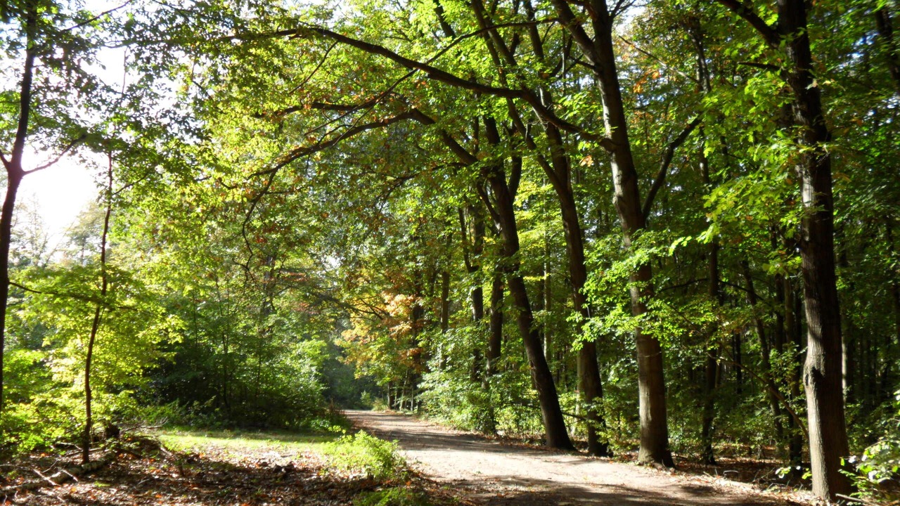 Photo of Outdoor in Belgern