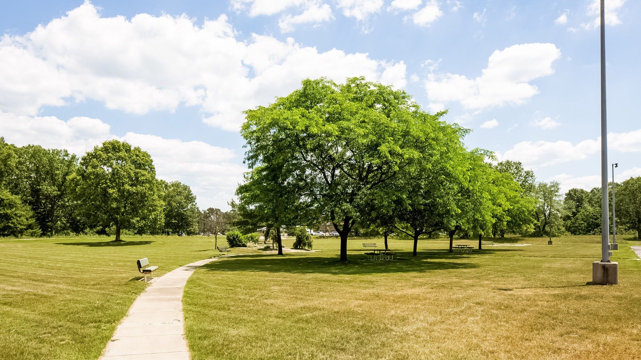 Photo of Outdoor in Whitehall