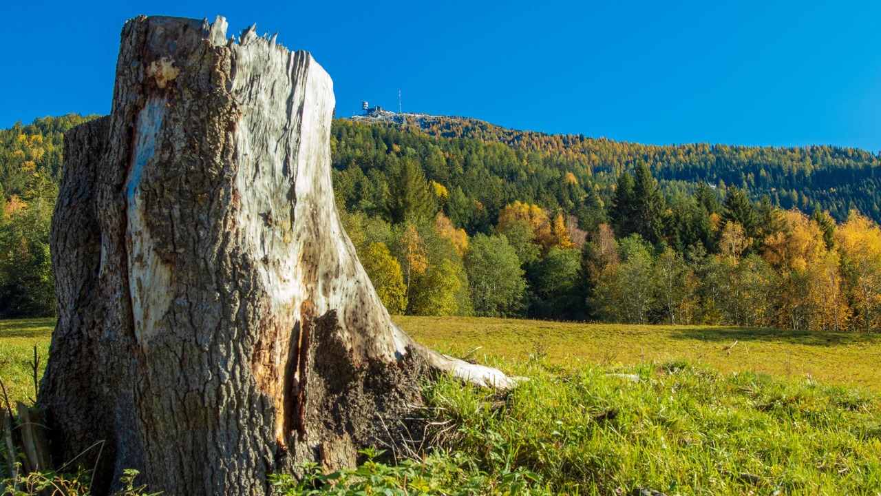 Photo of Outdoor in Rifenal