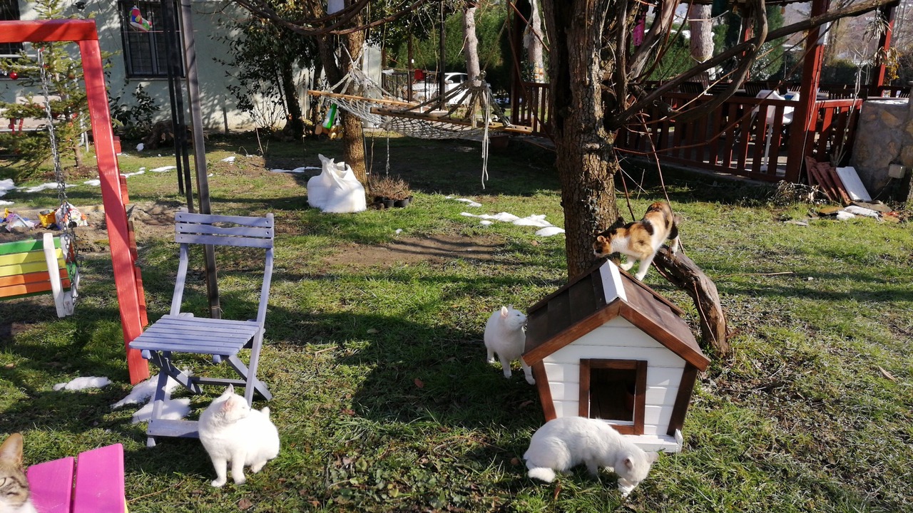 Photo of Outdoor in Masukiye