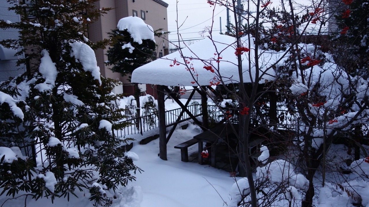 Photo of Outdoor in Minami