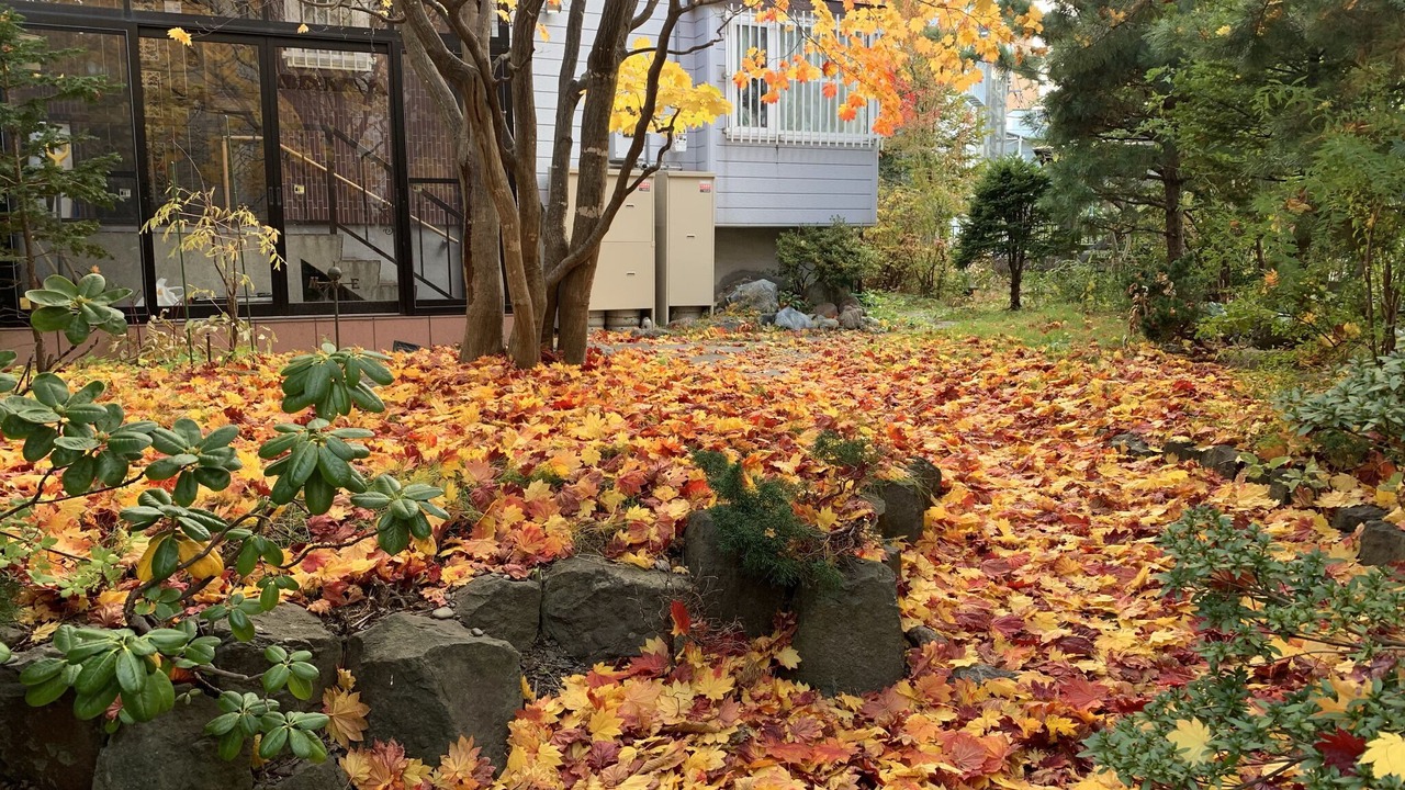 Photo of Outdoor in Minami