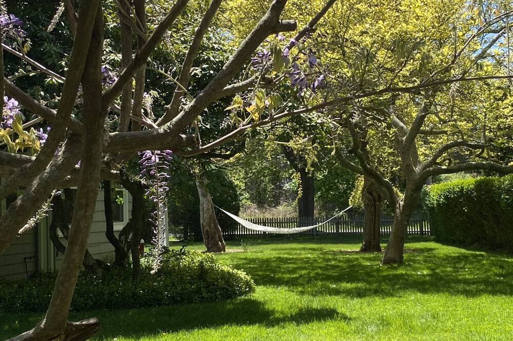 Photo of Outdoor in Amagansett