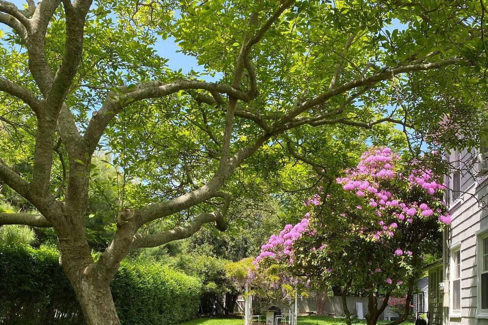 Photo of Outdoor in Amagansett