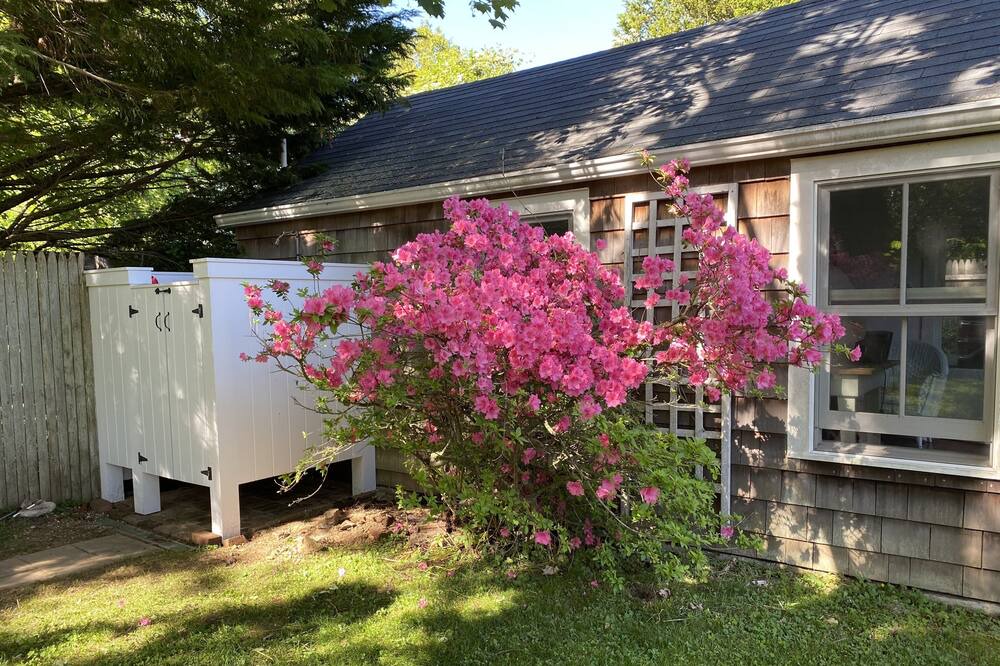 Photo of Outdoor in Amagansett