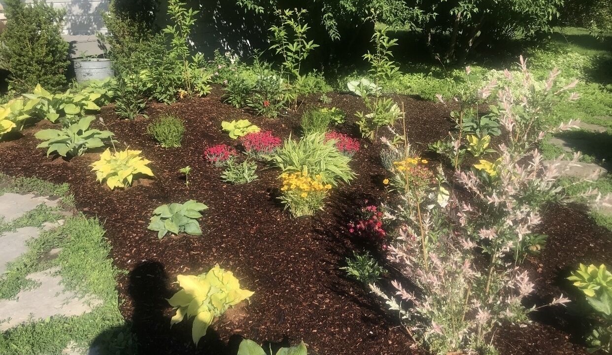 Photo of Outdoor in South Hero