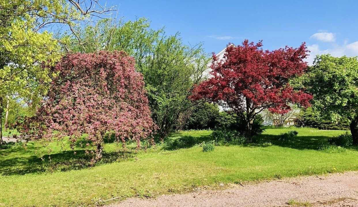 Photo of Outdoor in South Hero