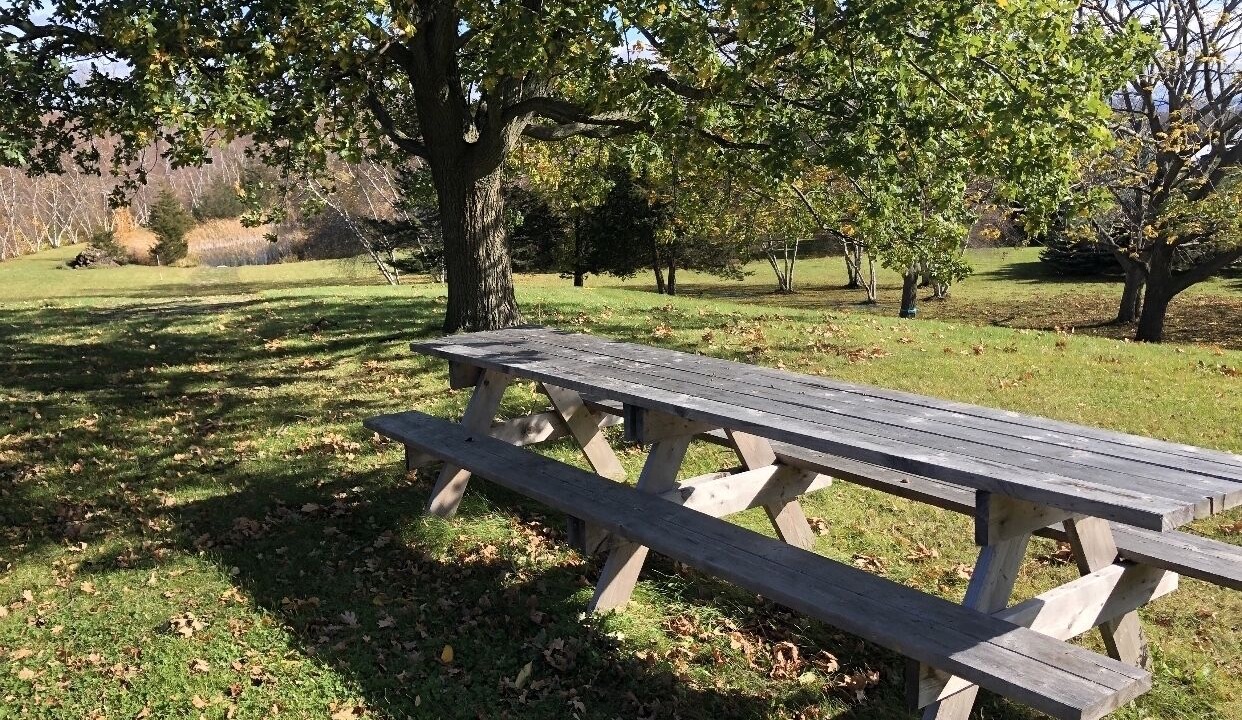 Photo of Outdoor in South Hero
