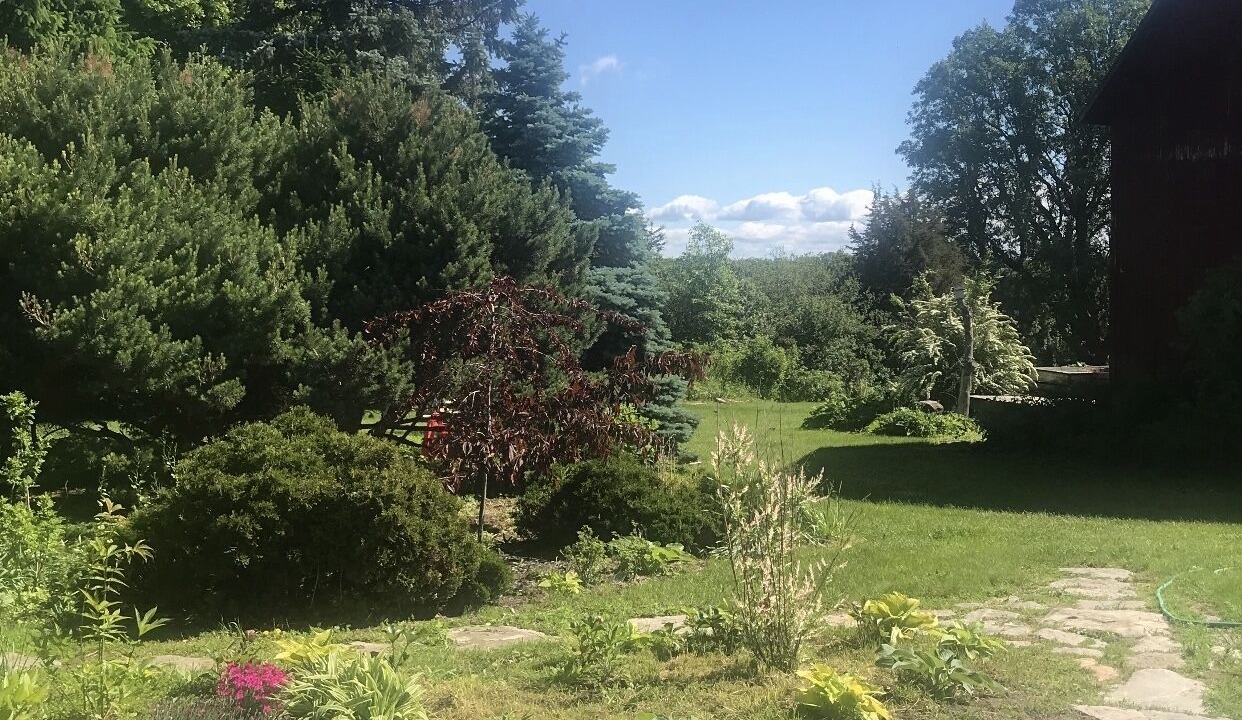 Photo of Outdoor in South Hero