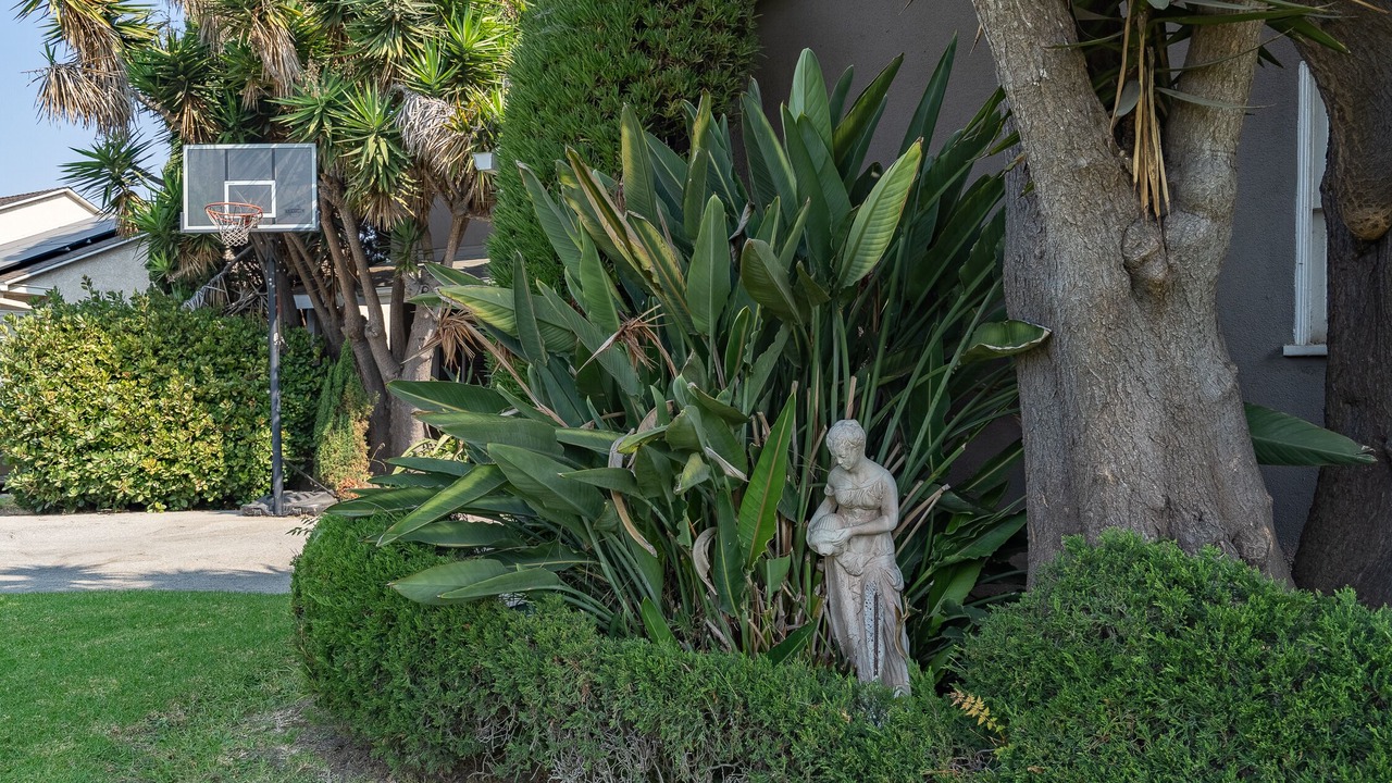 Photo of Outdoor in Mar Vista
