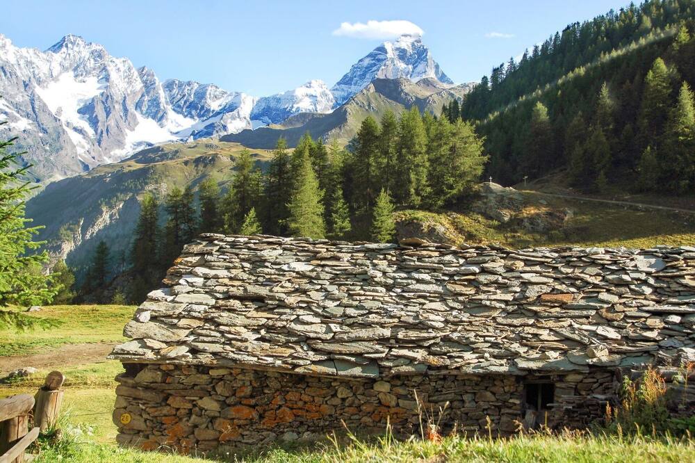 Photo of Others in Valtournenche