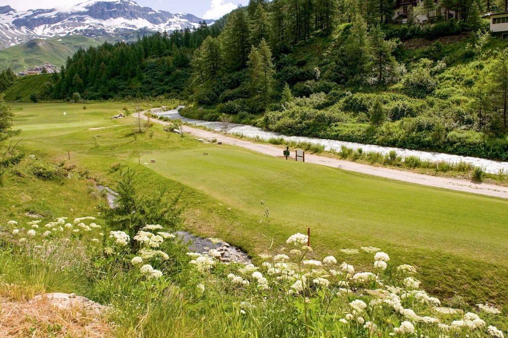 Photo of Others in Valtournenche